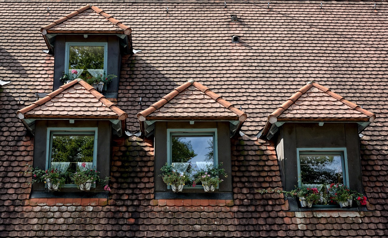 Fenêtres de Toit Velux & Lucarnes